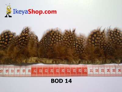 bulu owl polkadot BOD 14   feather  large2